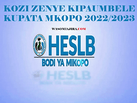HESLB Kozi zenye Kipaumbele kupata Mkopo 2022/2023 Priority Courses