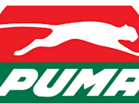 Job Vacancies at Puma Energy Tanzania 2022