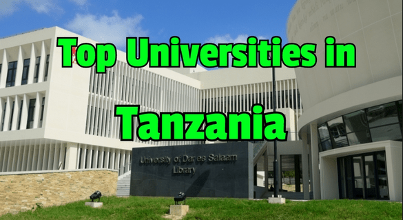 Tanzanian Best Universities Ranking 2022 / VYUO BORA TANZANIA 2022