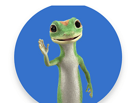 All Actors and Actress in GEICO Commercials
