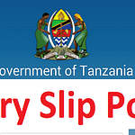Salary Slip Portal Tanzania 2022/2023 Free download | Watumishi portal