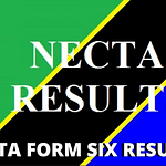 ACSEE NECTA Form Six Results 2022/2023