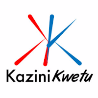 Kazini Kwetu, Sales Executive