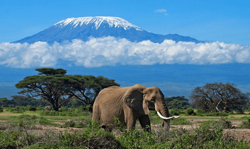 Get Top 10 lists of Tourist Attractions in Tanzania