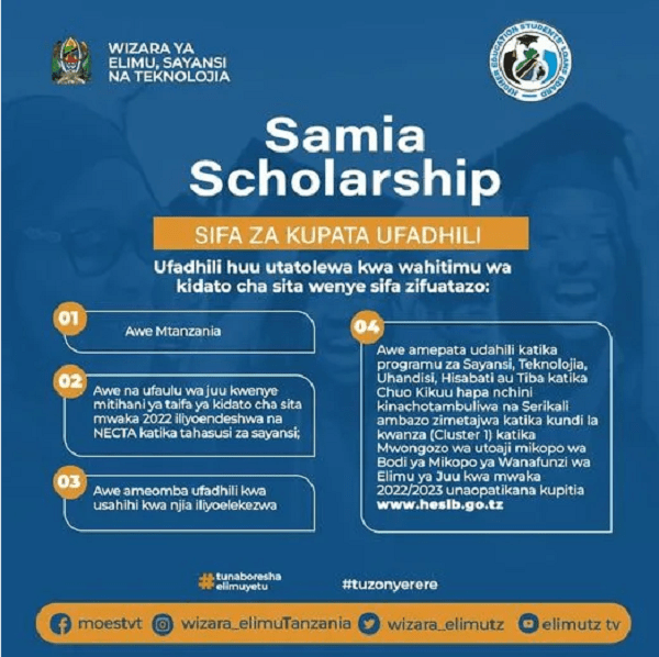 How to Apply Samia Scholarship 2022/2023 Tanzania